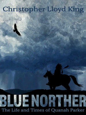 cover image of Blue Norther